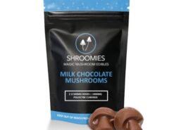 our store remains the best place to buy shroomies chocolate bar online. Shroomies Mushroom Chocolate edibles, one up edibles, moon bar chocolate