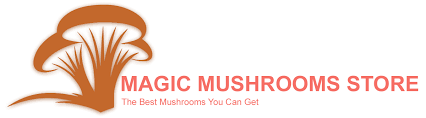 Magic mushroom store Canada